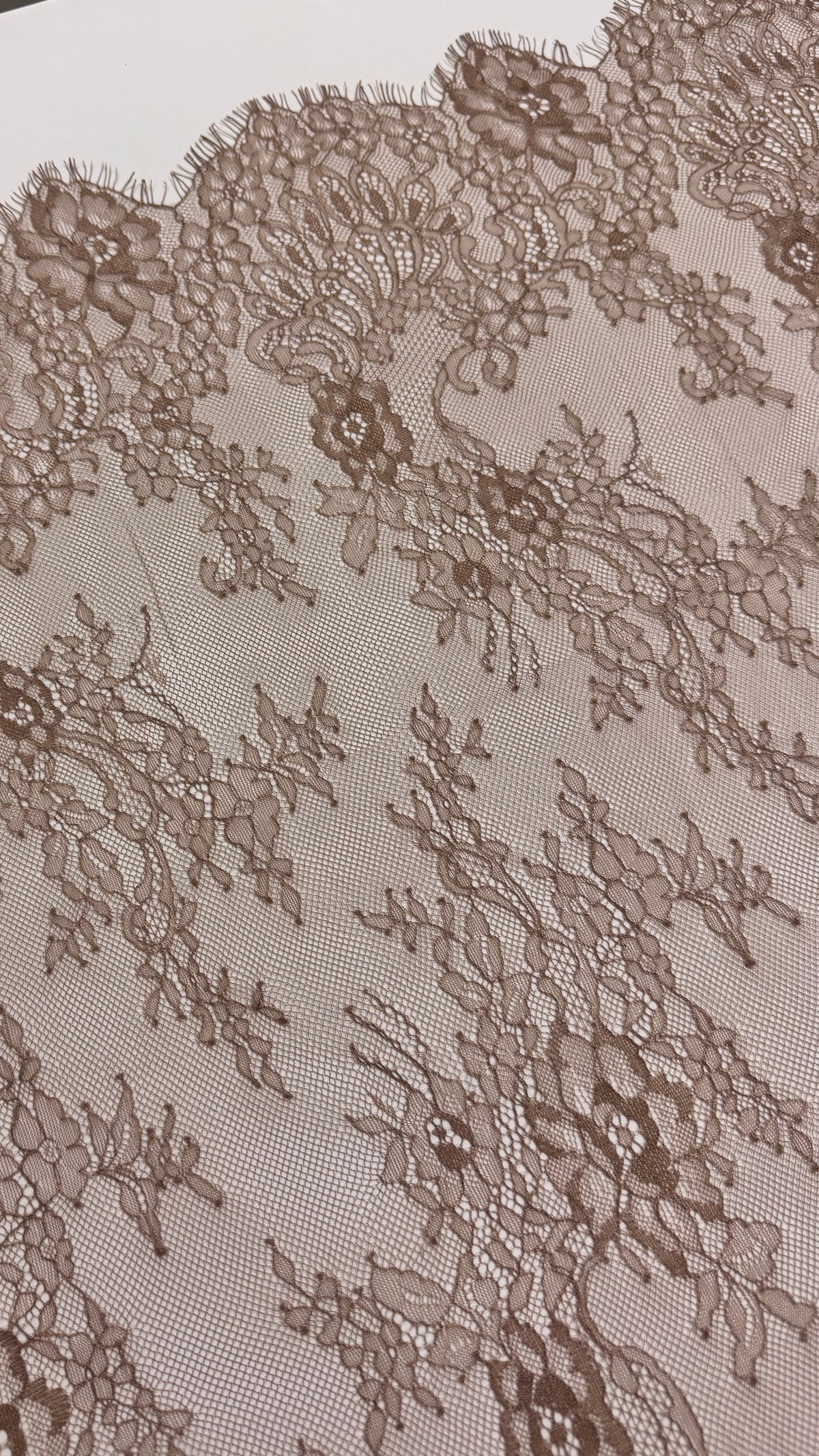 French Chantilly Lace (bordered)