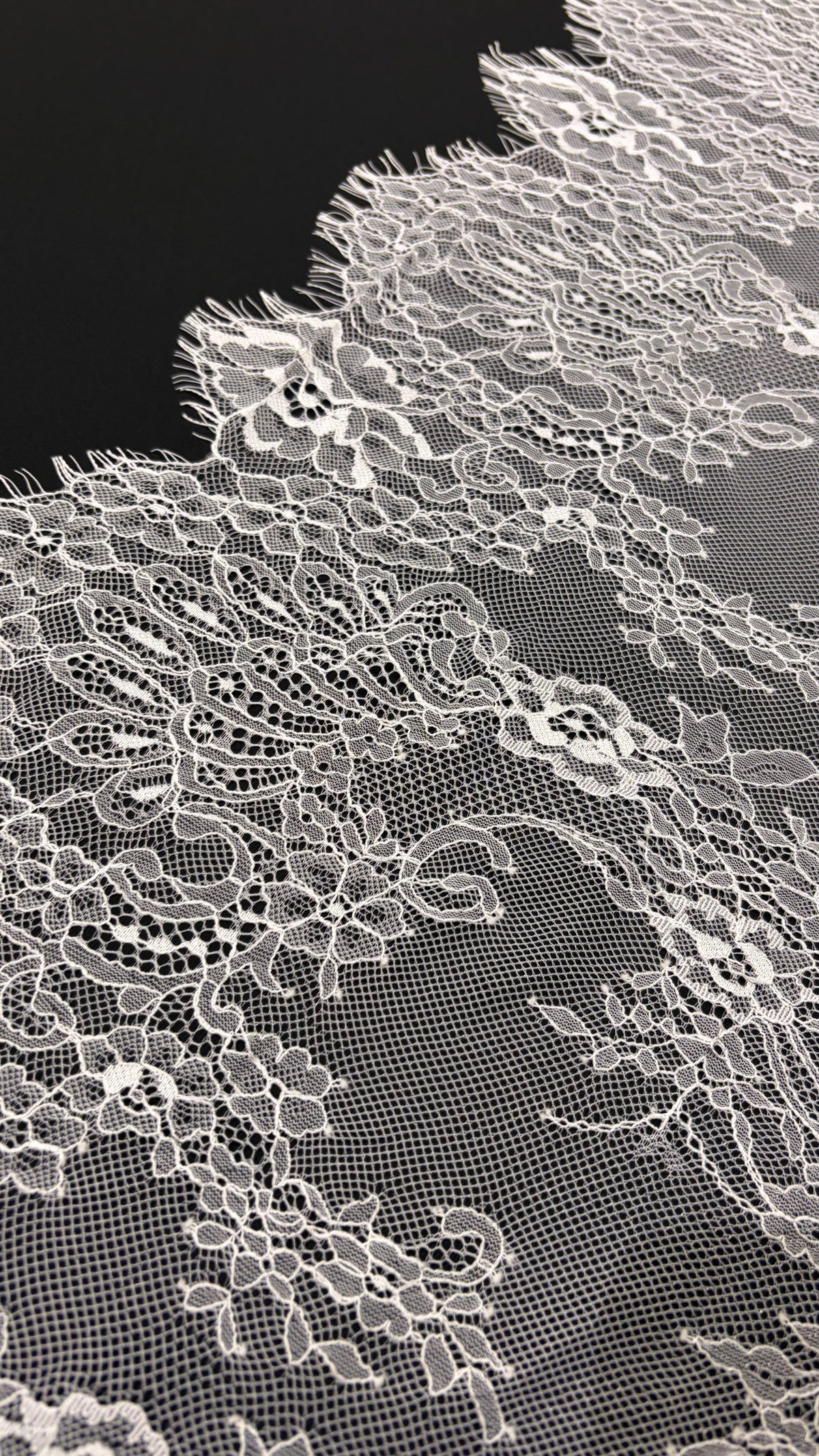 French Chantilly Lace (bordered)