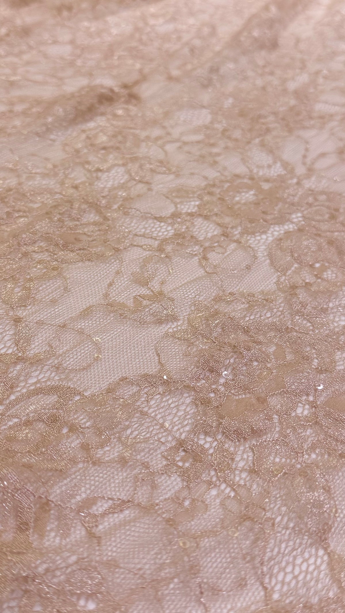 French Chantilly Lace (Sequins)